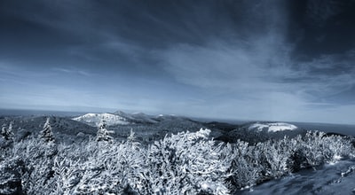 树木和山覆盖着雪
